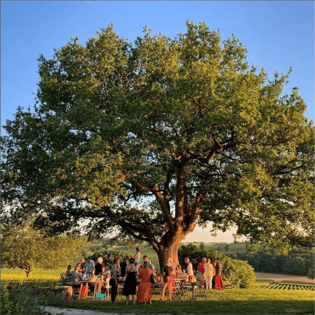 Stage Communication Non-Violente à Laragne en Gascogne