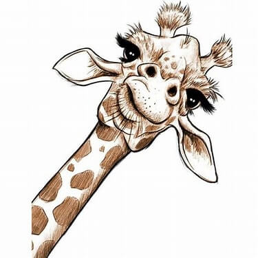 Stages de communication non-violente en Occitanie