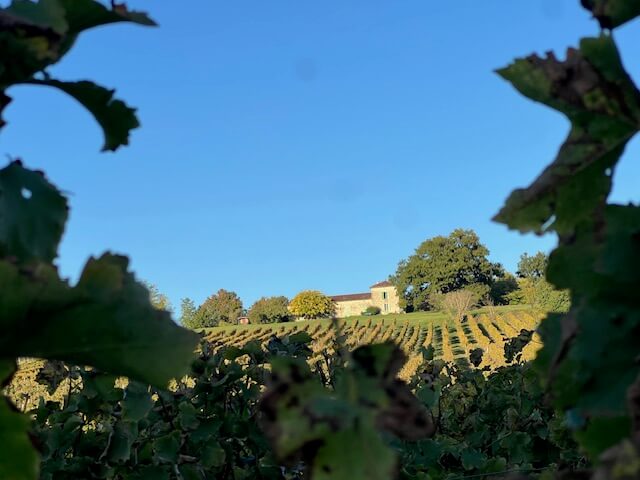 Laragne en Gascogne dessin